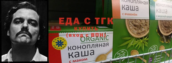 прущая мука Алзамай
