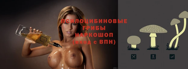 прущая мука Алзамай