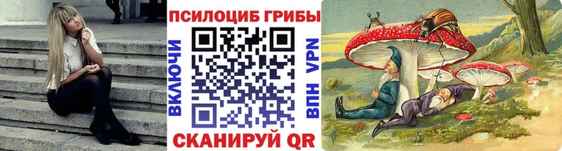 Псилоцибиновые грибы Magic Shrooms  купить  цена  Алушта 